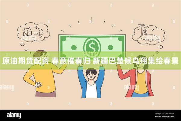原油期货配资 春意催春归 新疆巴楚候鸟翔集绘春景