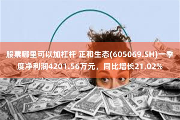 股票哪里可以加杠杆 正和生态(605069.SH)一季度净利润4201.56万元，同比增长21.02%