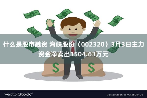 什么是股市融资 海峡股份（002320）3月3日主力资金净卖出1504.63万元