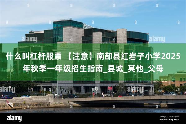 什么叫杠杆股票 【注意】南部县红岩子小学2025年秋季一年级招生指南_县城_其他_父母