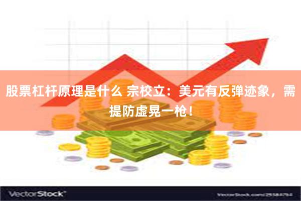 股票杠杆原理是什么 宗校立：美元有反弹迹象，需提防虚晃一枪！