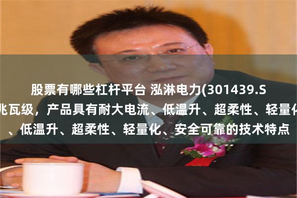 股票有哪些杠杆平台 泓淋电力(301439.SZ)：充电功率可以达到兆瓦级，产品具有耐大电流、低温升、超柔性、轻量化、安全可靠的技术特点