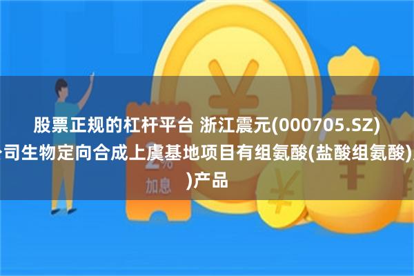 股票正规的杠杆平台 浙江震元(000705.SZ)：公司生物定向合成上虞基地项目有组氨酸(盐酸组氨酸)产品