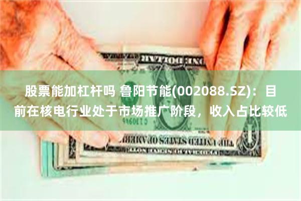 股票能加杠杆吗 鲁阳节能(002088.SZ)：目前在核电行业处于市场推广阶段，收入占比较低
