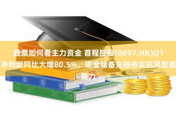 股票如何看主力资金 首程控股(0697.HK)Q1：净利润同比大增80.5%，现金储备充裕夯实抗风险能力