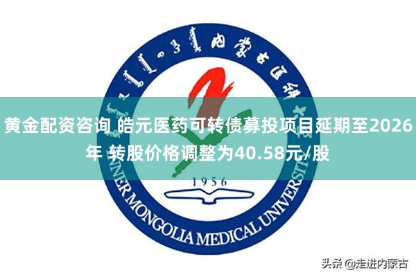 黄金配资咨询 皓元医药可转债募投项目延期至2026年 转股价格调整为40.58元/股