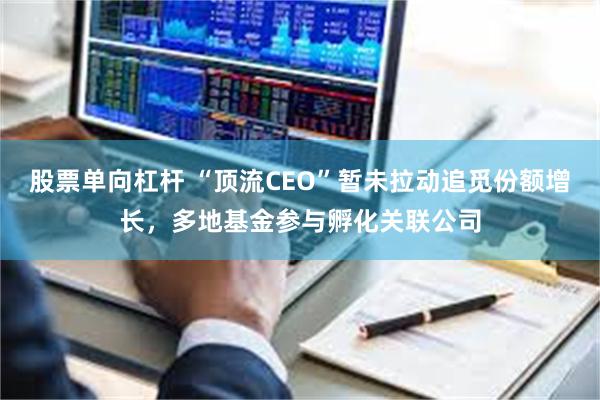 股票单向杠杆 “顶流CEO”暂未拉动追觅份额增长，多地基金参与孵化关联公司