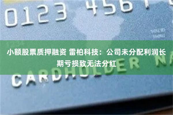 小额股票质押融资 雷柏科技：公司未分配利润长期亏损致无法分红