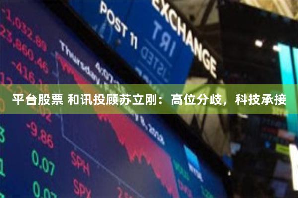 平台股票 和讯投顾苏立刚：高位分歧，科技承接