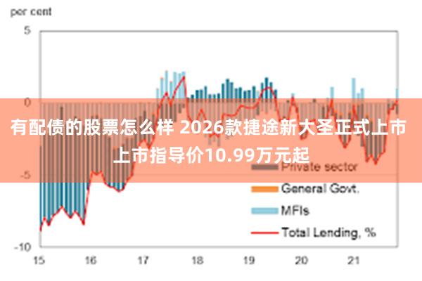 有配债的股票怎么样 2026款捷途新大圣正式上市 上市指导价10.99万元起