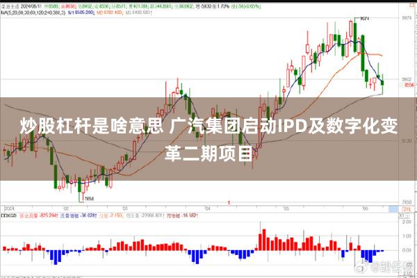 炒股杠杆是啥意思 广汽集团启动IPD及数字化变革二期项目
