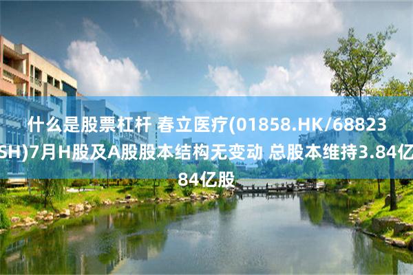 什么是股票杠杆 春立医疗(01858.HK/688236.SH)7月H股及A股股本结构无变动 总股本维持3.84亿股