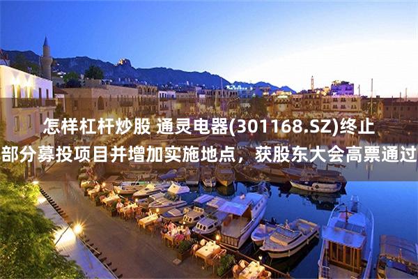 怎样杠杆炒股 通灵电器(301168.SZ)终止部分募投项目并增加实施地点，获股东大会高票通过