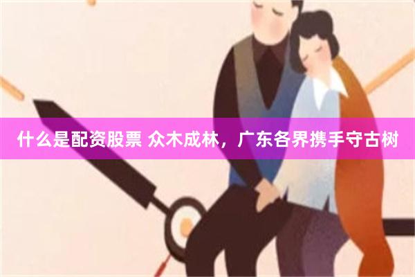什么是配资股票 众木成林，广东各界携手守古树