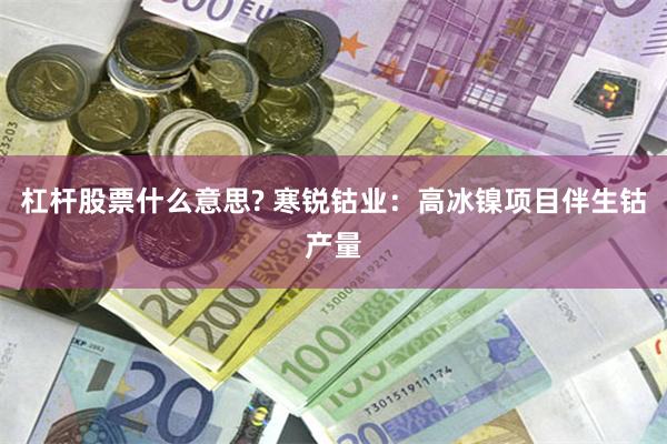 杠杆股票什么意思? 寒锐钴业：高冰镍项目伴生钴产量