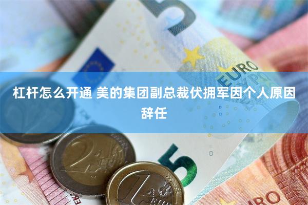 杠杆怎么开通 美的集团副总裁伏拥军因个人原因辞任