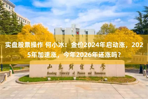 实盘股票操作 何小冰：金价2024年启动涨，2025年加速涨，今年2026年还涨吗？