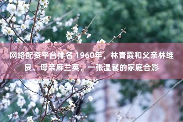 网络配资平台排名 1960年，林青霞和父亲林维良、母亲麻兰英，一张温馨的家庭合影