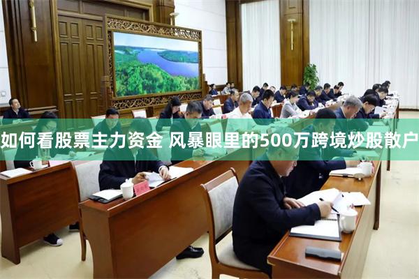 如何看股票主力资金 风暴眼里的500万跨境炒股散户