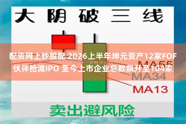 配资网上炒股配 2026上半年坤元资产12家FOF伙伴抢滩IPO 至今上市企业总数飙升至104家