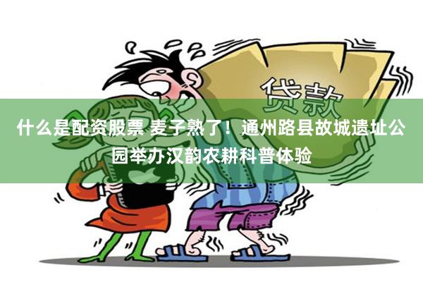 什么是配资股票 麦子熟了！通州路县故城遗址公园举办汉韵农耕科普体验