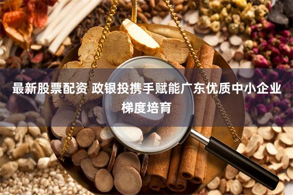 最新股票配资 政银投携手赋能广东优质中小企业梯度培育