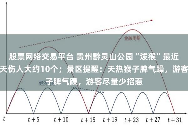 股票网络交易平台 贵州黔灵山公园“泼猴”最近脾气大，每天伤人大约10个；景区提醒：天热猴子脾气躁，游客尽量少招惹