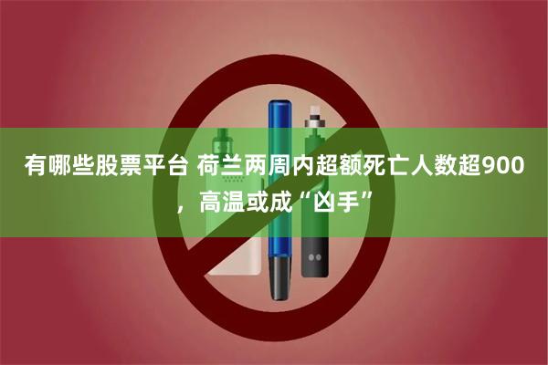 有哪些股票平台 荷兰两周内超额死亡人数超900，高温或成“凶手”