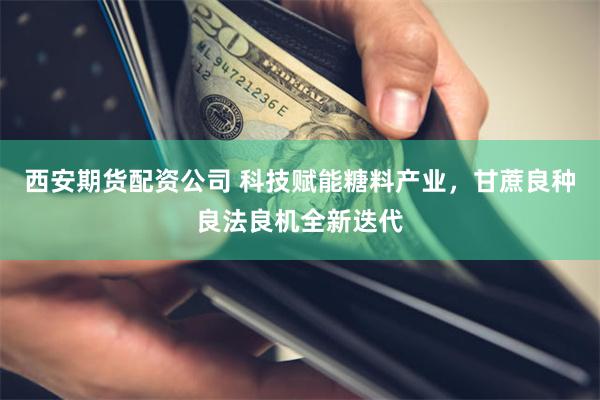 西安期货配资公司 科技赋能糖料产业，甘蔗良种良法良机全新迭代