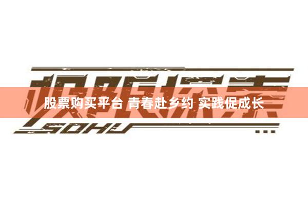 股票购买平台 青春赴乡约 实践促成长