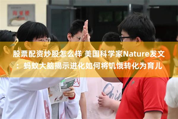 股票配资炒股怎么样 美国科学家Nature发文：蚂蚁大脑揭示进化如何将饥饿转化为育儿