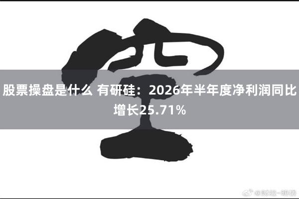 股票操盘是什么 有研硅：2026年半年度净利润同比增长25.71%