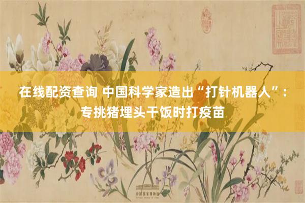 在线配资查询 中国科学家造出“打针机器人”：专挑猪埋头干饭时打疫苗