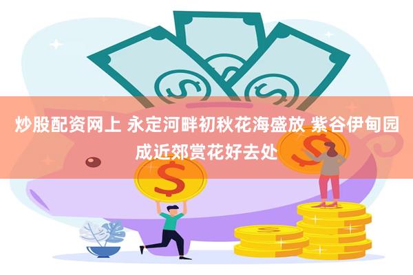 炒股配资网上 永定河畔初秋花海盛放 紫谷伊甸园成近郊赏花好去处