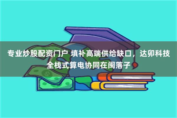专业炒股配资门户 填补高端供给缺口,达卯科技全栈式算电协同在闽落子