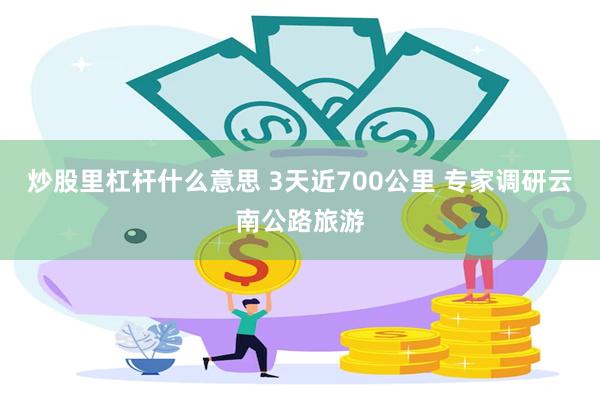炒股里杠杆什么意思 3天近700公里 专家调研云南公路旅游