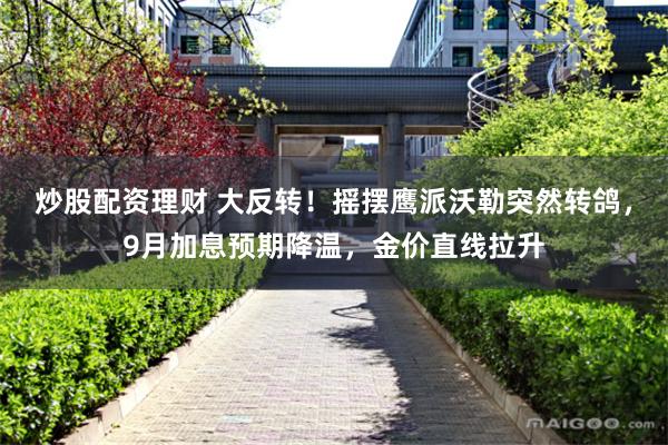 炒股配资理财 大反转！摇摆鹰派沃勒突然转鸽，9月加息预期降温，金价直线拉升
