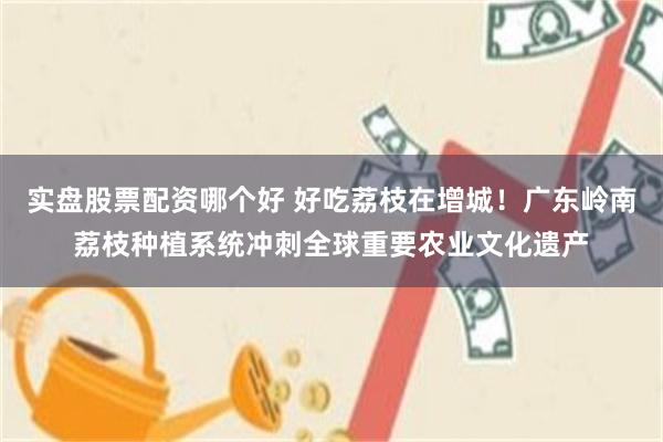 实盘股票配资哪个好 好吃荔枝在增城！广东岭南荔枝种植系统冲刺全球重要农业文化遗产