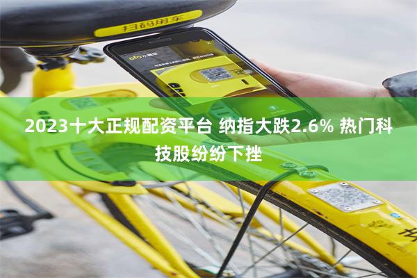 2023十大正规配资平台 纳指大跌2.6% 热门科技股纷纷下挫